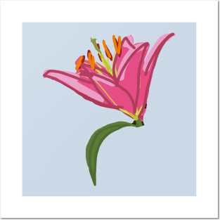 Stargazer Lily Flower Digital Painting Posters and Art